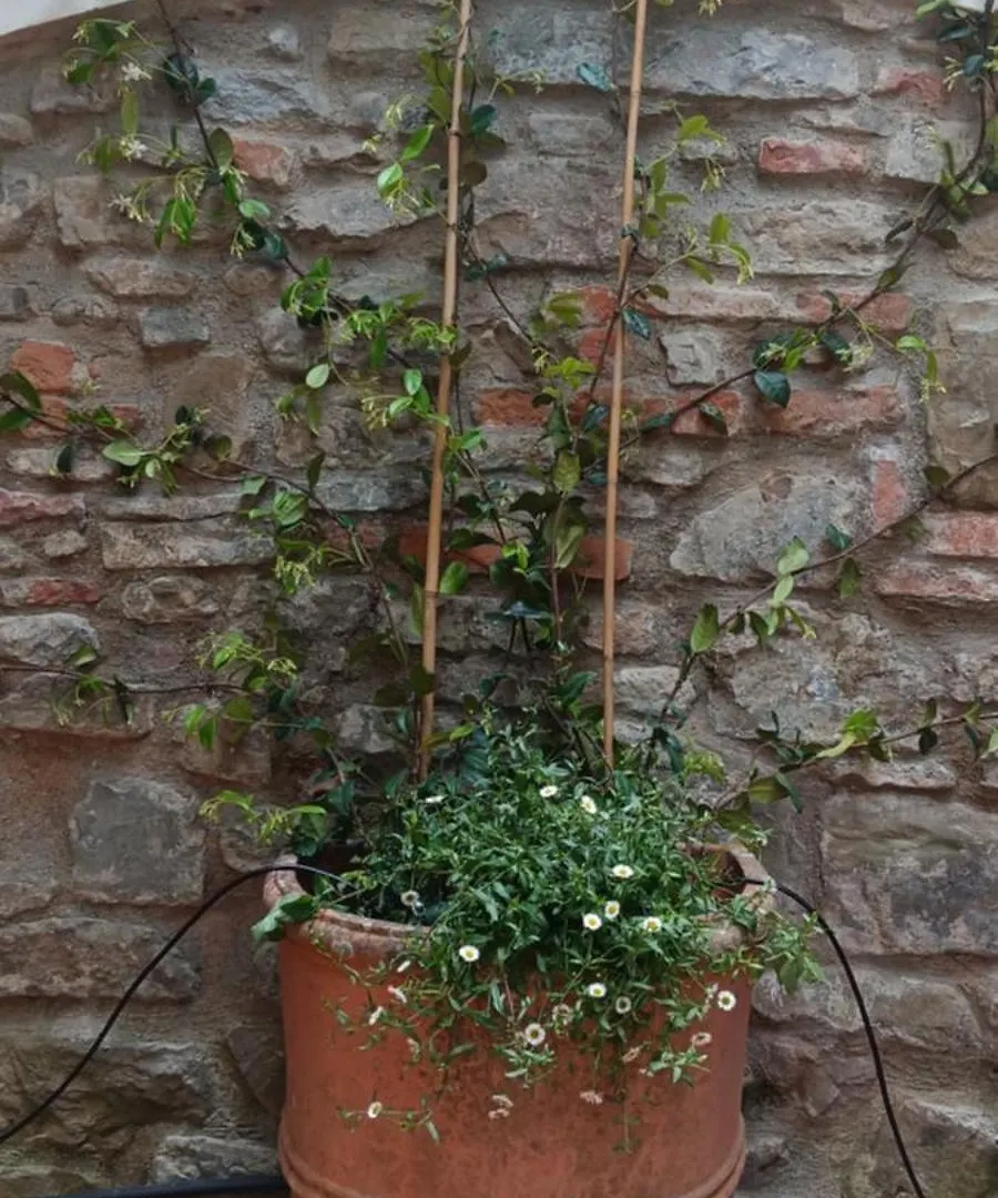 Casa Il Patio Apartment Florence