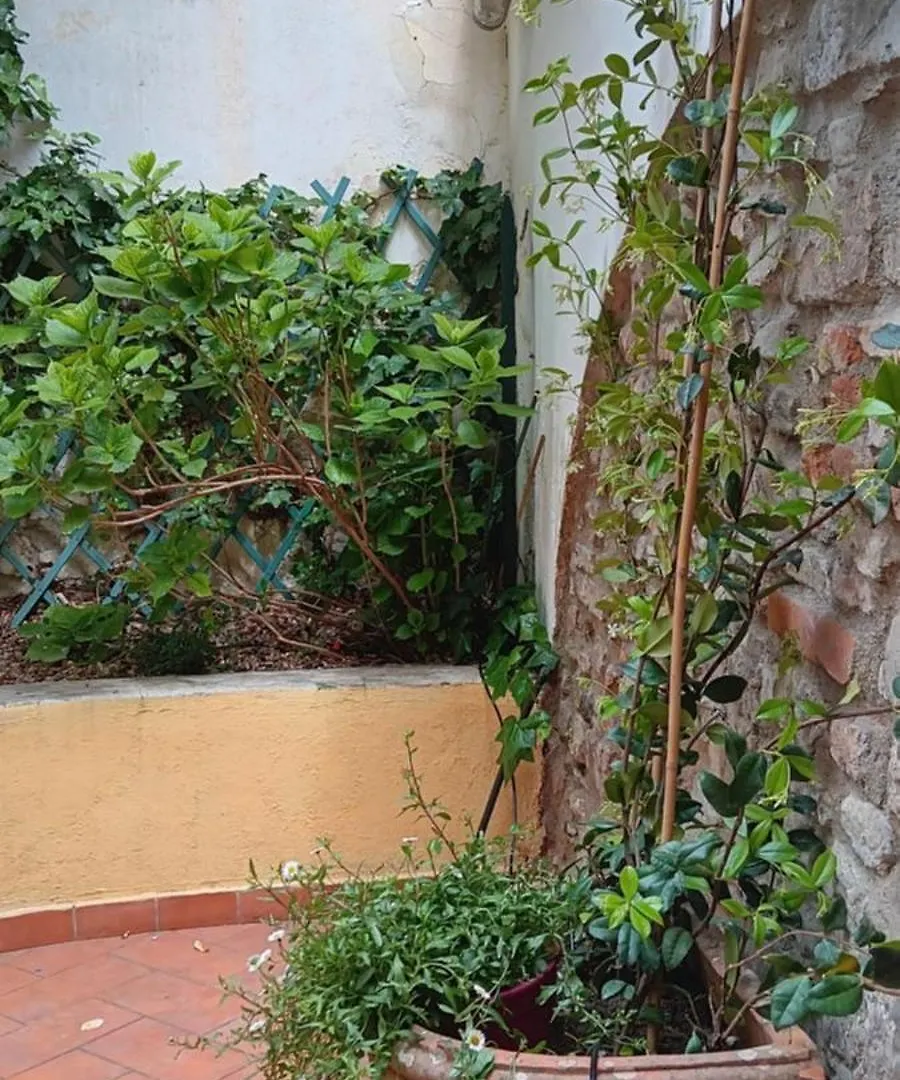 Casa Il Patio Apartment Florence