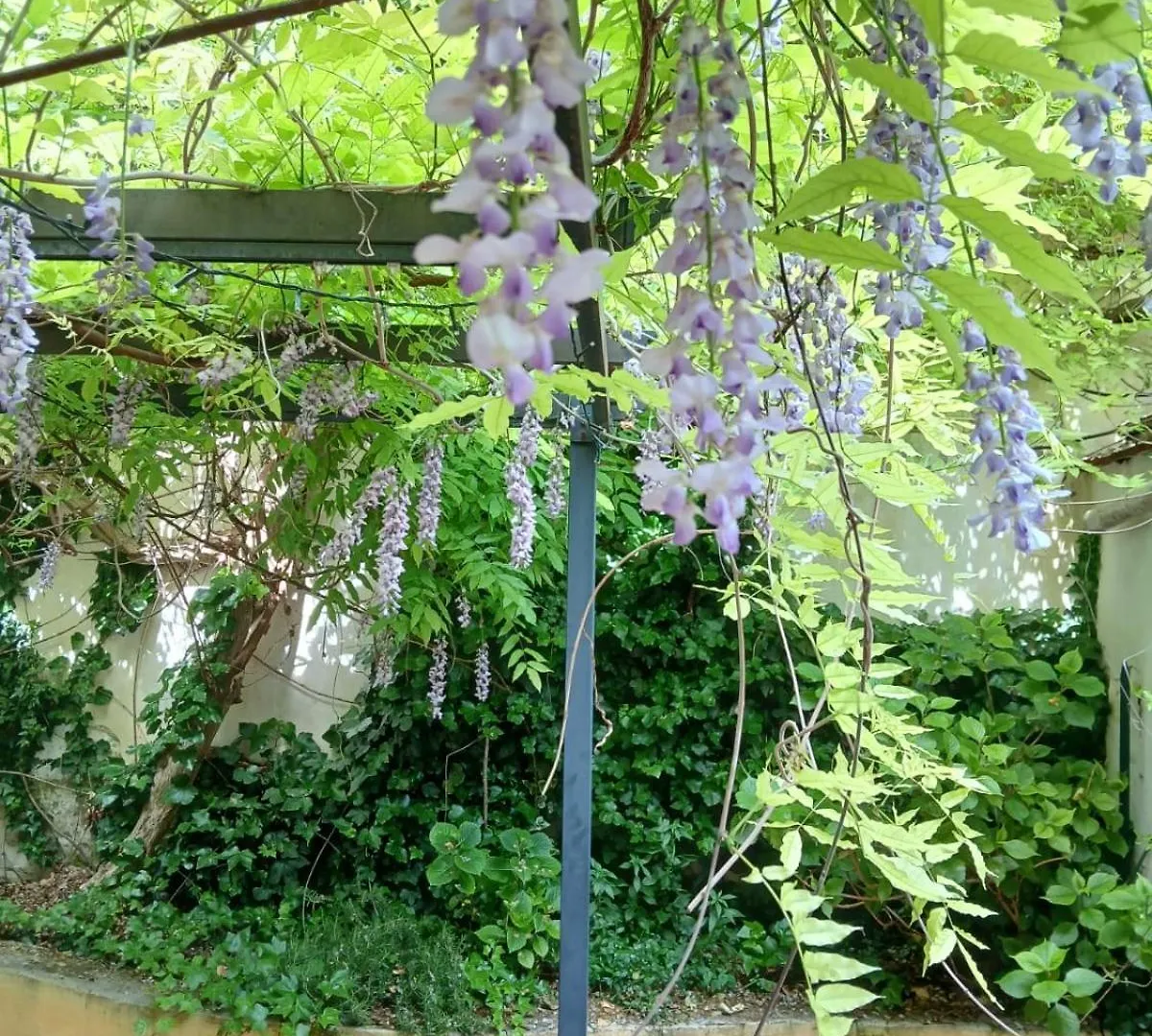 Casa Il Patio Apartment Florence