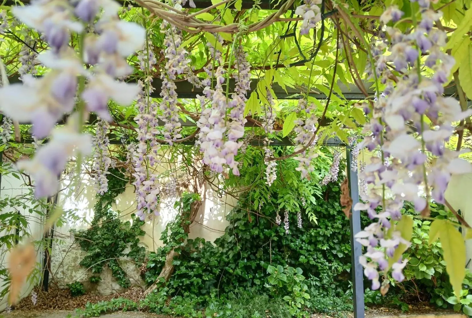 Casa Il Patio Apartment Florence Italy