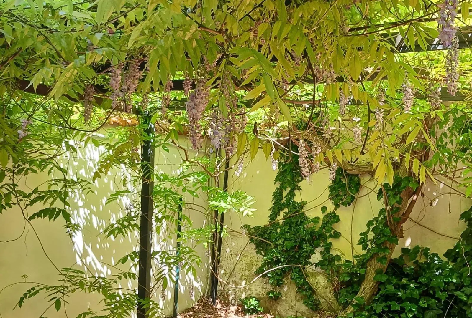 Casa Il Patio Apartment Florence 0*,  Italy